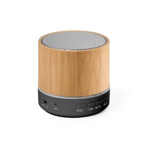 Caixinha de som com microfone